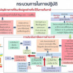 ท่าผา1-2