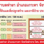 messageImage_1704944080422